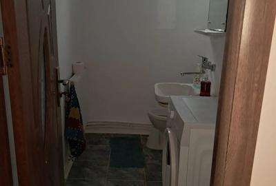 Apartament cu 3 camere decomandat în Brazda lui Novac - 10