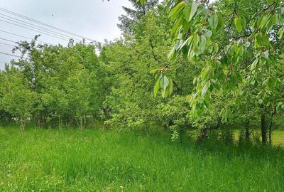 Spațiu comercial, în Central - 5