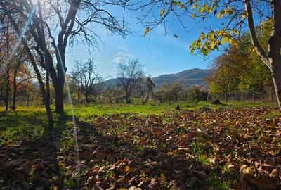 Teren intravilan in Buzau, sat Tega, 3300 mp - 4