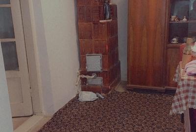 Basarabia, casa singur curte, locuit/diverse activitati - 3