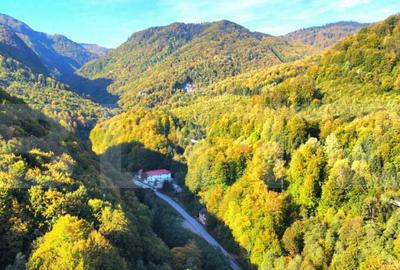 Oportunitate !!!! Cabana 360 mp, teren 840 mp, Moroeni - 1