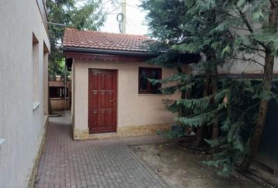 Inchiriere Vila individuala Berceni-Giurgiului - 29