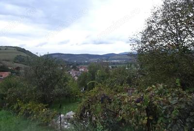 Teren de 581 mp, în Viile Noi - 4