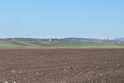 Teren de 5000 mp, în Rediu