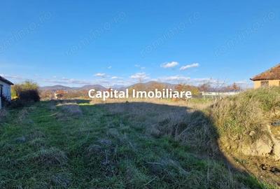 De vanzare: Teren 25 ari parcelabil, in Sasar - 2