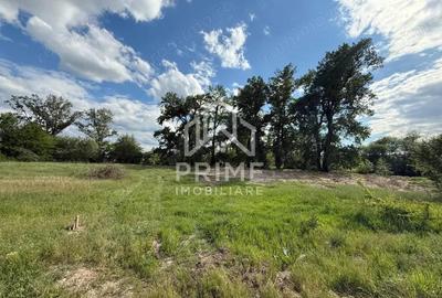 Teren intravilan de vanzare 6.000 mp, Sebe? Teren intravilan de vanzare 6.000 mp, Sebe? - 2