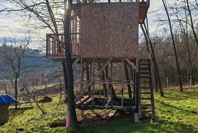 Casă cu 2 camere cu Teren 3600 Mp în Bejan - 9