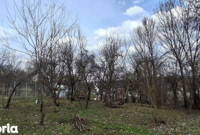 Casă cu 4 camere cu Teren 1600 Mp în Poiana - 18