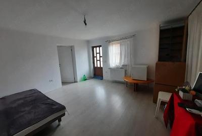 Casă cu 1 camere cu Teren 1500 Mp în Aradul Nou - 4