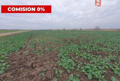 Comision 0% Teren industrial, 7 ha, intravilan, Calea Sagului - 5