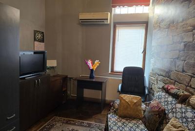 Matei Voievod , apartament in vila, parter si subsol, - 11
