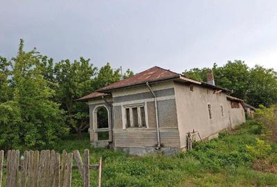 Casă cu Teren 1800 Mp în Radovanu - 3