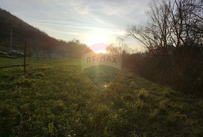 COMISION 0%  Teren intravilan de vanzare in Barsana (26 ARI) - 3