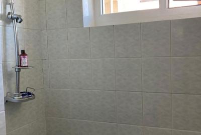 Apartament cu 3 camere în Titu Maiorescu - 3