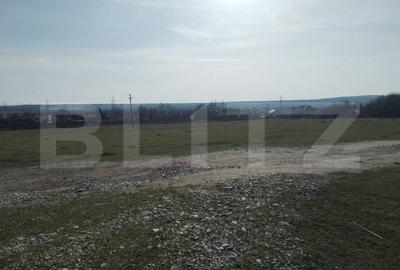 Teren de 90000 mp, în Aninoasa - 1