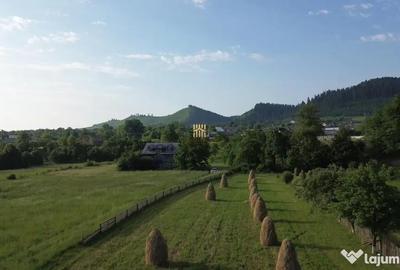 Teren de 10304 mp, în Slatina - 8