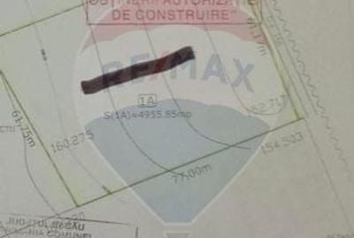 Teren agricol extravilan de 4956 mp, în Letea Veche - 7