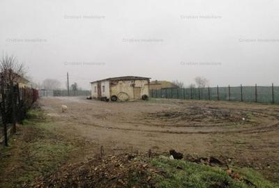 Teren intravilan de 2100 mp, în Brăilița - 6