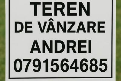 Spațiu comercial, în Chinteni - 1
