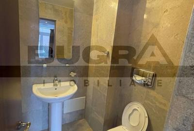 Duplex de 320mp, modern, 120mp, sauna, zona strazii Zaharia Stancu - 9