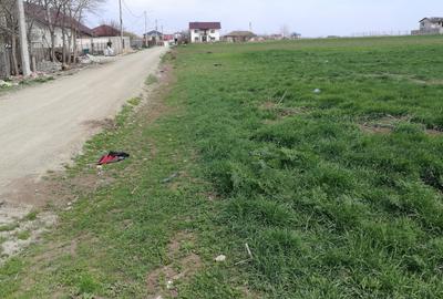 Techirghiol, teren 450mp, 20 m deschidere, str. Pericle Macri colt cu Plantelor - 5