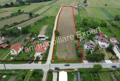 Teren 10.000 mp de vanzare in comuna Ciofrangeni, Judet Arge?. - 2