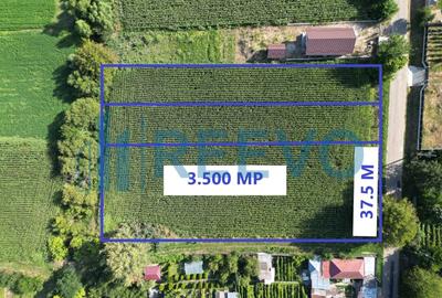 Teren Construcții intravilan de 3500 mp, în Bogdănești (Traian) - 1
