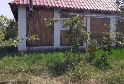 Casă cu 3 camere în Crucișoara - 3