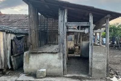 Casă cu 3 camere cu Teren 4147 Mp în Ianoșda - 2
