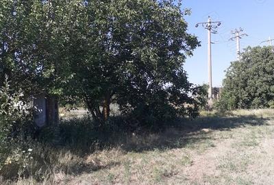 Teren de 4000 mp, în Căldărușeanca - 3