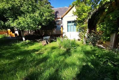 De vanzare casa in Buzad- 709 De vanzare casa in Buzad- 709 - 19