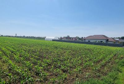 Teren de 10000 mp, în Mihai Eminescu - 1