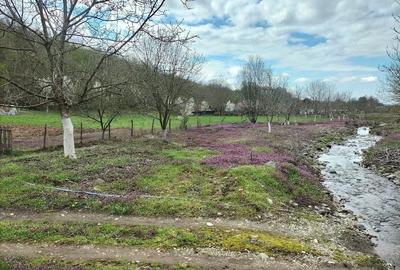 Teren de 14000 mp, în Gurahonț - 3
