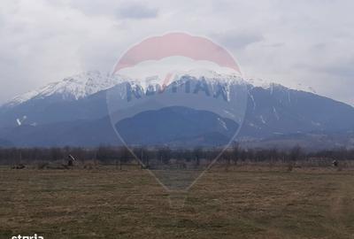 Spațiu comercial, în Pănicel - 3