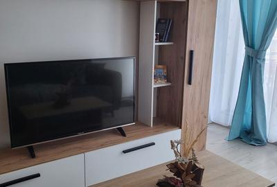 Apartament cu 2 camere semidecomandat în Dosu Bricii - 4
