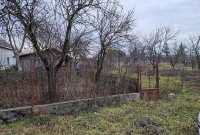 Teren strada Spicului mun. Satu MARE - 4