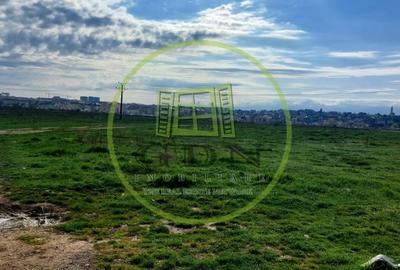 Teren Intravilan  3421 mp , P+3  aprobat, spre vanzare in Turnisor - 3