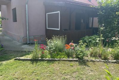 Comuna Marzanesti, sat Valea Parului, str Lalelelor, Teleorman - 1