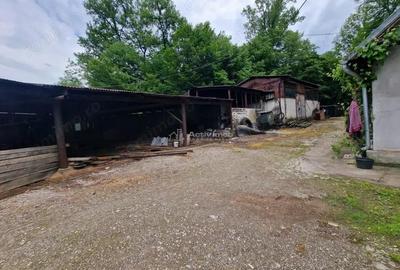 Resita Chirie Teren 3924 mp. si Constructie, Valea Terovei - 7