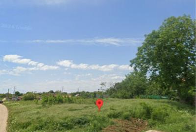 Teren de 1000 mp, în Gepiu - 4