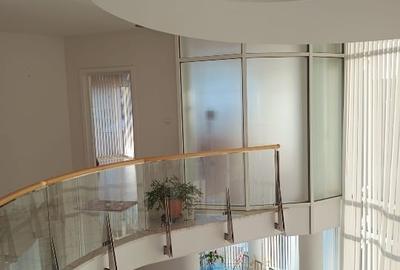 Casă individuală cu 5 camere cu Teren 8850 Mp în Central - 12