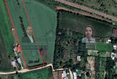 Teren Statia Meteo Balcescu/ 2 loturi de 5000 mp /Tecuci - 5