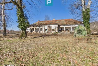 Casă cu 8 camere cu Teren 7235 Mp în Traian Vuia - 20