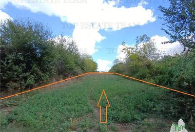 Teren Construcții intravilan de 1235 mp, în Petrăchioaia - 6