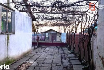 Casă cu 7 camere cu Teren 1458 Mp în Lenauheim - 4