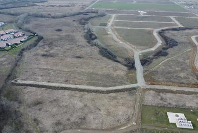 Teren Construcții extravilan de 5000 mp, în Albina - 4