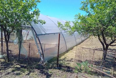 Casă cu 3 camere cu Teren 1080 Mp în Macea - 7