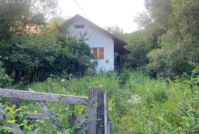 Casa de vacanta - 1