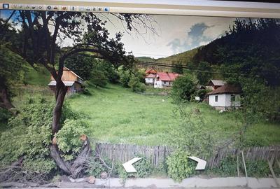 Teren de 2900 mp, în Buhalnița - 5