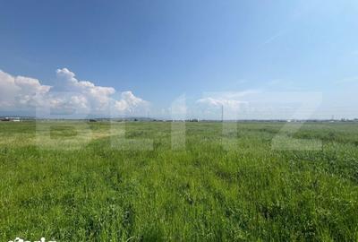 Teren de 10000 mp, în Drăgotești - 1